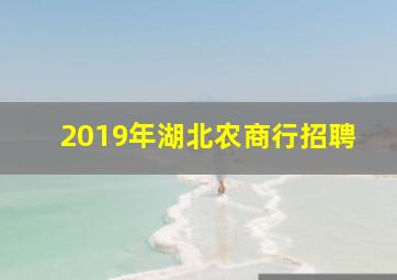 2019年湖北农商行招聘