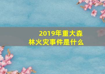 2019年重大森林火灾事件是什么