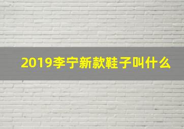 2019李宁新款鞋子叫什么