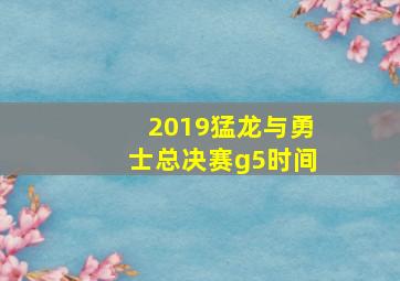 2019猛龙与勇士总决赛g5时间