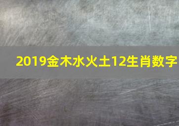 2019金木水火土12生肖数字