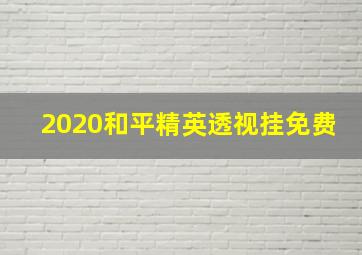 2020和平精英透视挂免费