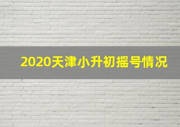 2020天津小升初摇号情况