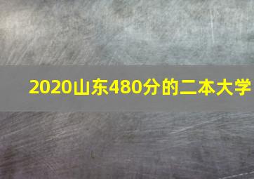 2020山东480分的二本大学