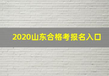 2020山东合格考报名入口