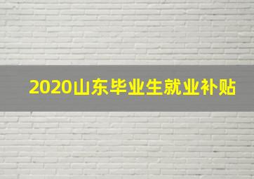 2020山东毕业生就业补贴