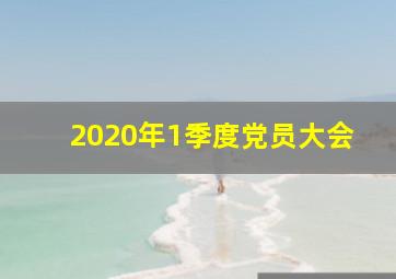 2020年1季度党员大会