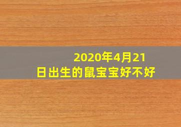 2020年4月21日出生的鼠宝宝好不好