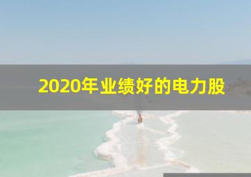 2020年业绩好的电力股