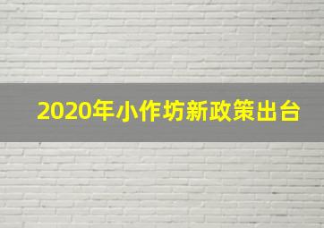 2020年小作坊新政策出台