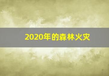 2020年的森林火灾