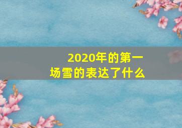 2020年的第一场雪的表达了什么