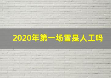 2020年第一场雪是人工吗