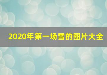 2020年第一场雪的图片大全