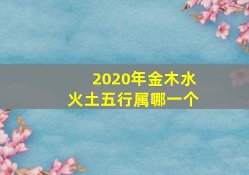 2020年金木水火土五行属哪一个