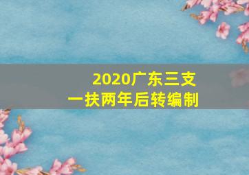 2020广东三支一扶两年后转编制