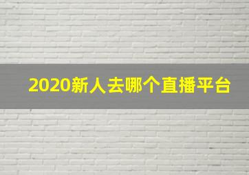 2020新人去哪个直播平台