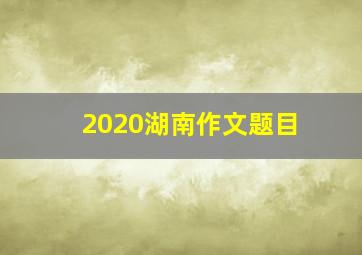 2020湖南作文题目