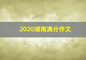 2020湖南满分作文