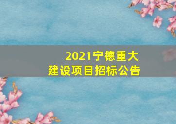 2021宁德重大建设项目招标公告