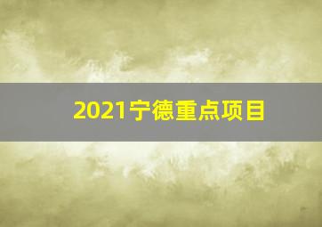 2021宁德重点项目