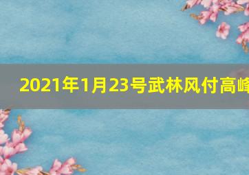 2021年1月23号武林风付高峰