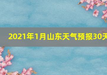 2021年1月山东天气预报30天