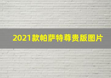 2021款帕萨特尊贵版图片