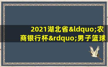 2021湖北省“农商银行杯”男子篮球联赛