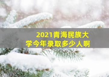 2021青海民族大学今年录取多少人啊