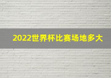 2022世界杯比赛场地多大