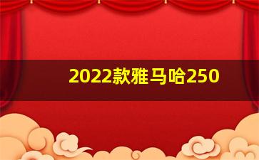 2022款雅马哈250