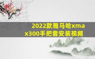 2022款雅马哈xmax300手把套安装视频