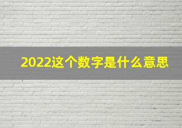 2022这个数字是什么意思