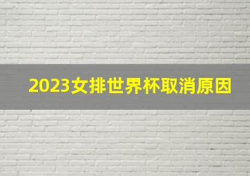 2023女排世界杯取消原因