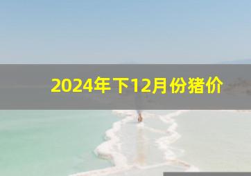 2024年下12月份猪价