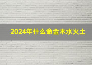 2024年什么命金木水火土