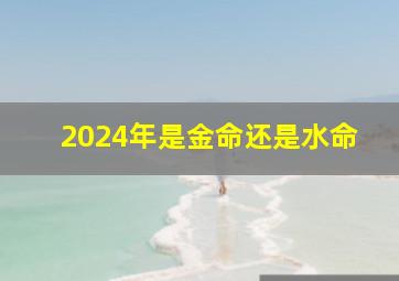 2024年是金命还是水命