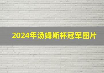 2024年汤姆斯杯冠军图片