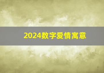 2024数字爱情寓意