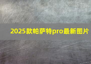 2025款帕萨特pro最新图片