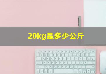 20kg是多少公斤