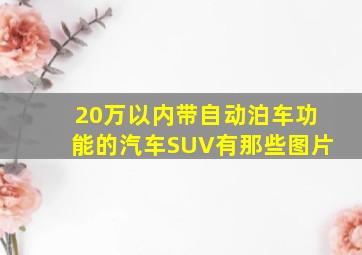 20万以内带自动泊车功能的汽车SUV有那些图片