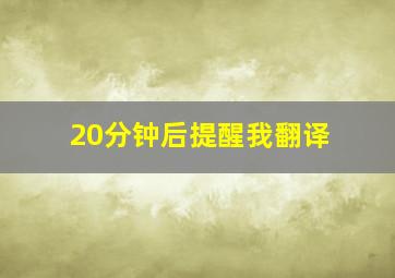 20分钟后提醒我翻译