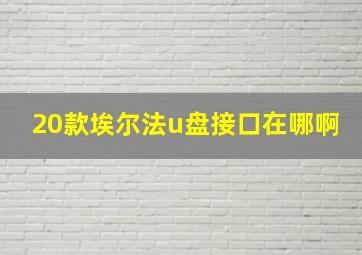 20款埃尔法u盘接口在哪啊