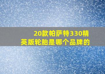 20款帕萨特330精英版轮胎是哪个品牌的