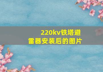 220kv铁塔避雷器安装后的图片