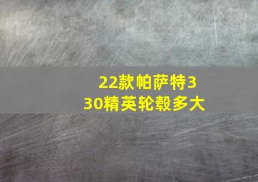 22款帕萨特330精英轮毂多大