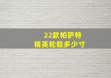 22款帕萨特精英轮毂多少寸