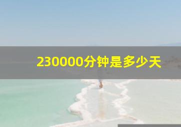 230000分钟是多少天